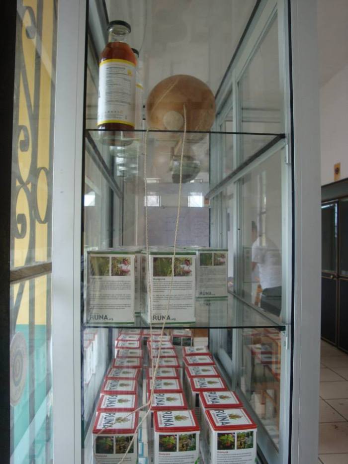 Portraying guayusa products at Runa offices in Archidona Exhibición de productos que se puede confeccionar con la guayusa en las oficinas de la Fundación Runa en Archidona